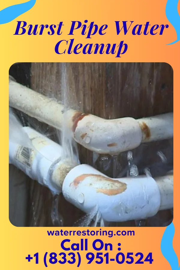 Burst Pipe Water Cleanup in Thaxton, MS