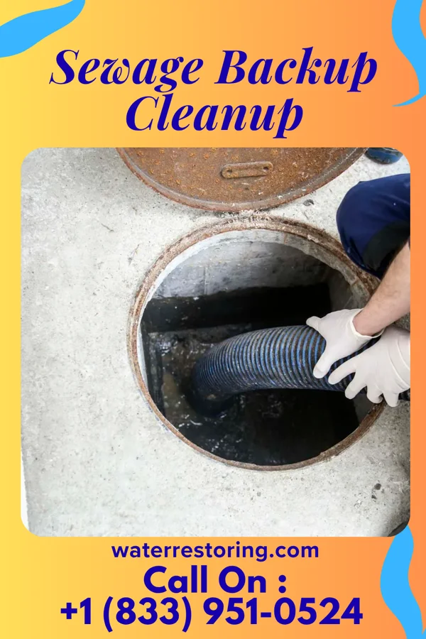 Sewage Backup Cleanup in Thaxton, MS