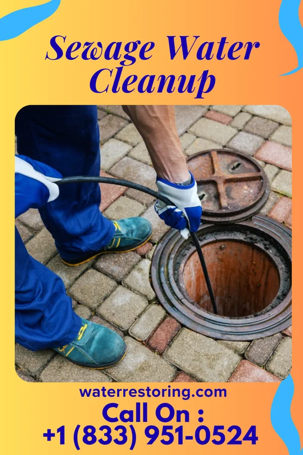 Sewage Water Cleanup in Thaxton, MS