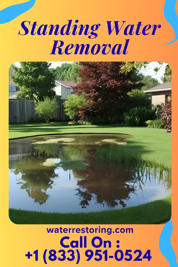 Standing Water Removal in Thaxton, MS